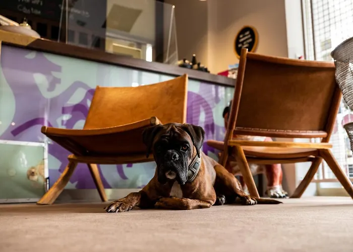 Carlton - Adults Only Otel