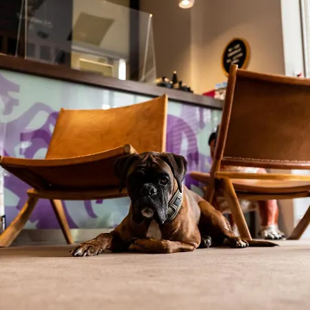 Carlton - Adults Only Hotel